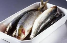 صادرات ماهی قزل آلا