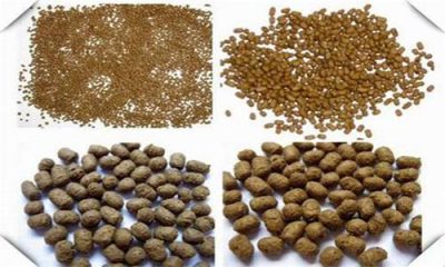غذای ماهی قزل آلا